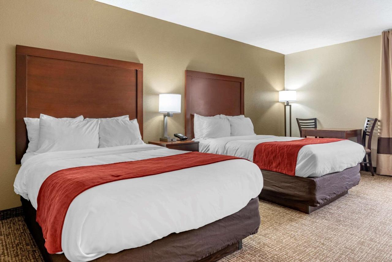 Comfort Inn & Suites Cincinnati Eastgate Exteriér fotografie